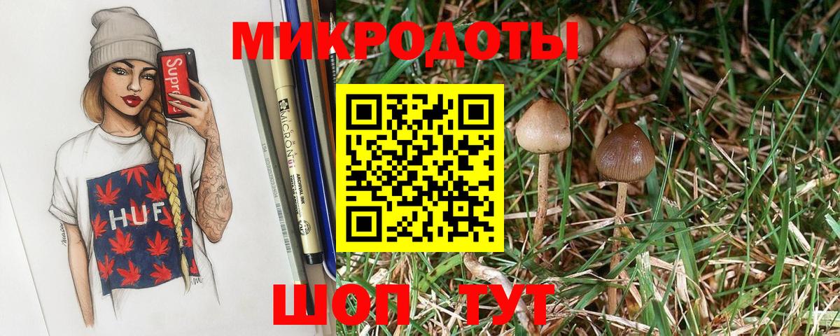 Галлюциногенные грибы прущие грибы Вольск