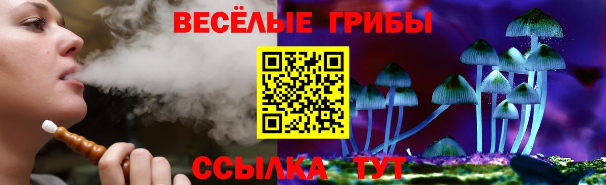 Псилоцибиновые грибы GOLDEN TEACHER  Вход с VPN  что такое   Галлюциногенные грибы ЛСД  Вольск 